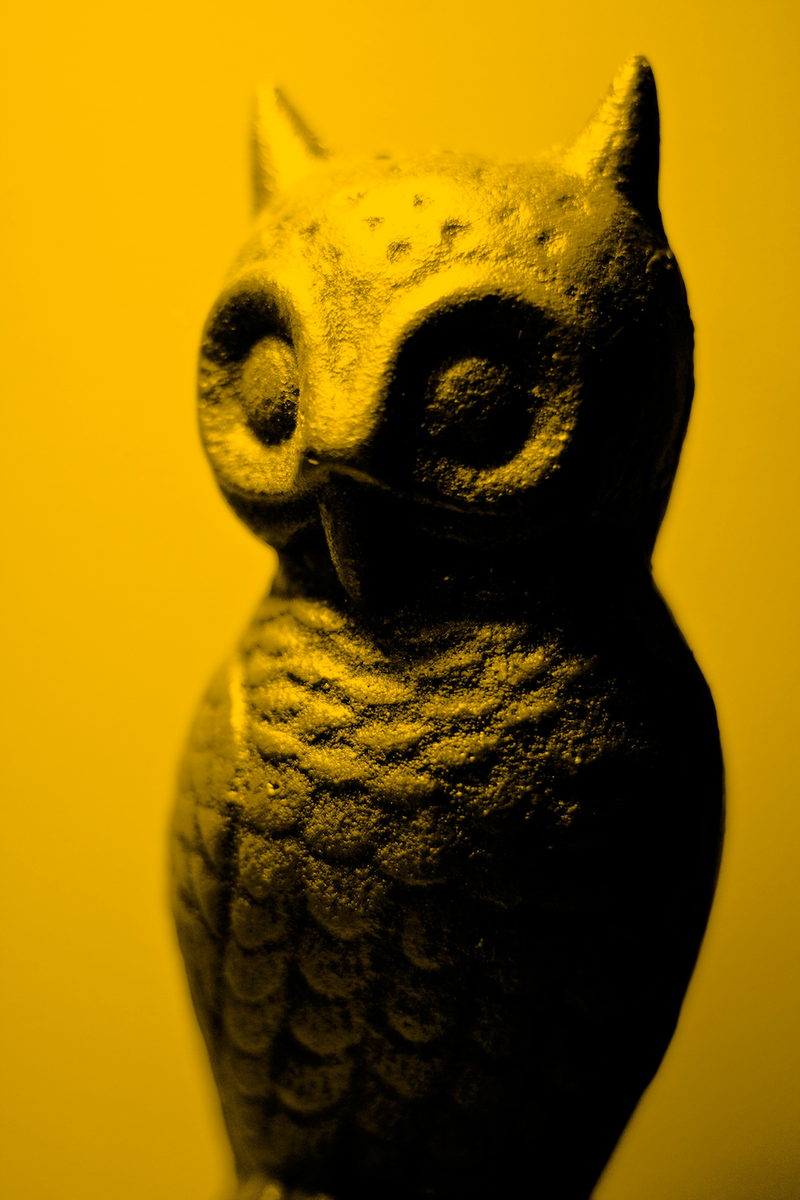 Illustration for article titled Shooting Challenge Gallery: Duotone III